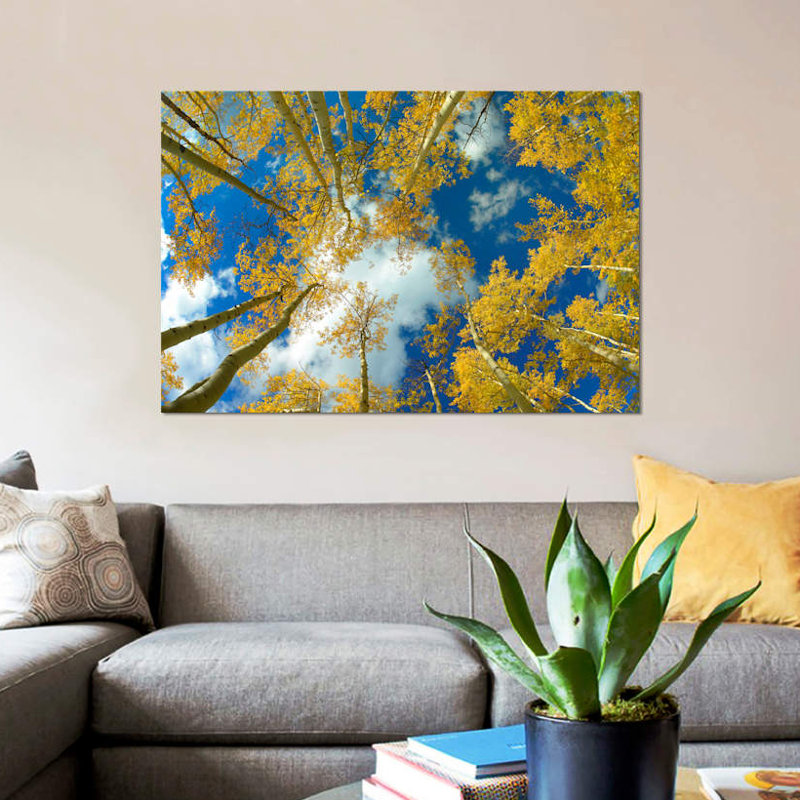 «Look Up At Blue Sky Through a Canopy of Fall Colored Aspen Trees, Colorado» par Tim Fitzharris - reproduction de photo sur toile tendue