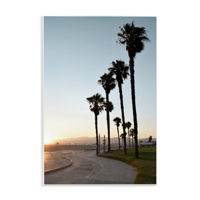 «Clear Day Palm Trees» par Natalie Carpentieri