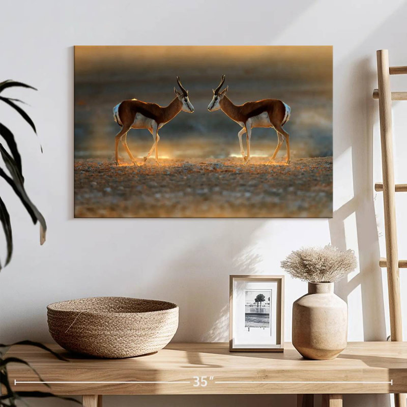Brampt Springbok Antelopes, 32" H x 48" W