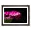 Pink Gerbera Flower - Picture Frame Painting Print-55584038-55584039