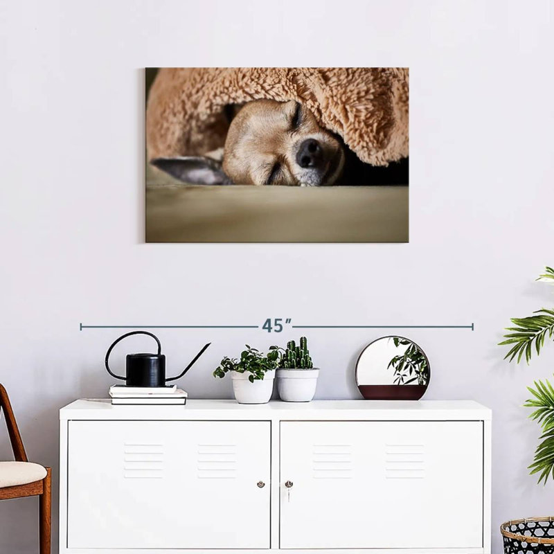 Brampt Sleeping Chihuahua, 20" H x 30" W