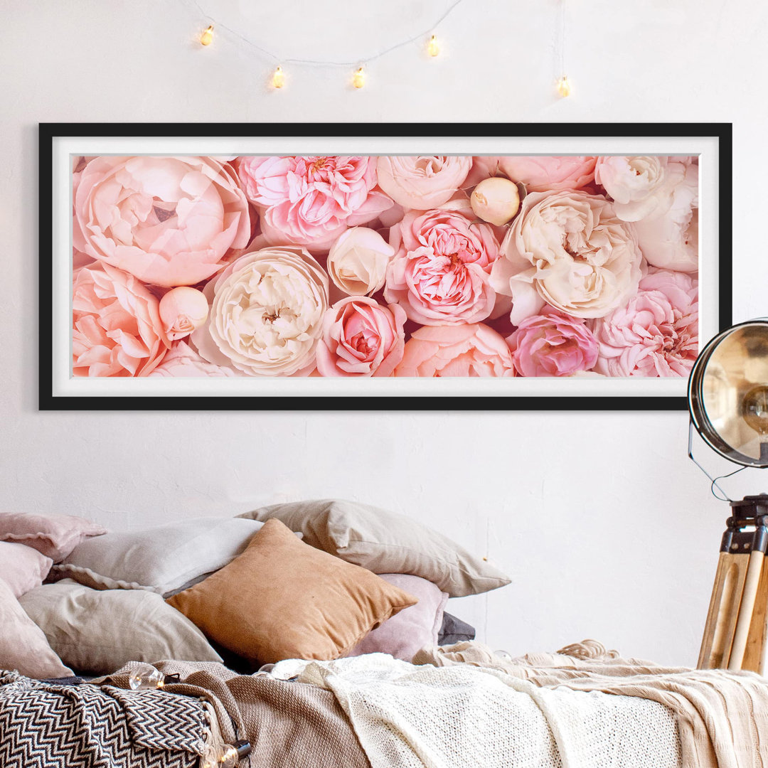 Gerahmter Grafikdruck Roses Coral Shabby