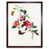 Brown Framed Paper selected