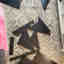 Customer photo 6 of 6