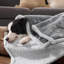 Jeté de lit imperméable pour petits chiens et chats, housse réversible imprimée en molleton Sherpa-126282273-126184828