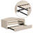 Upholstered Daybed with Trundle and Headboard for Small Spaces,Velvet Daybed with Backrest, Beige, Twin-1155732075
