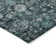 Kaylani Washable Oriental Indoor / Outdoor Rug