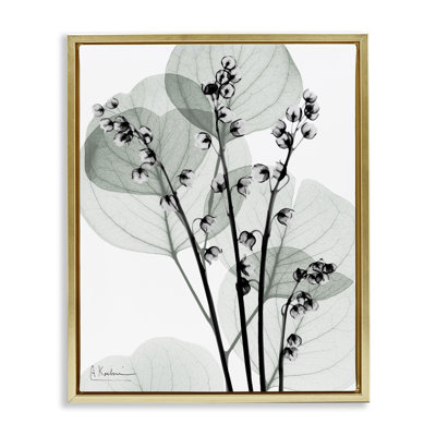 Fresh Minimalist Herbs Floating Frame, design by Albert Koetsier