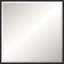 Floater 1 Solid Wood Beveled Mirror-1833252010-1833252012-1833252001