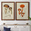 Toile encadrée de qualité supérieure Mushroom Variétés III - prête à être accrochée-2010089419-2010089420