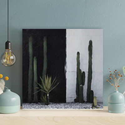 «Green Cactus Plant Beside White Wall», impression d'art graphique carré sur toile tendue