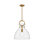 Tinka Single Light Glass Steel Pendant