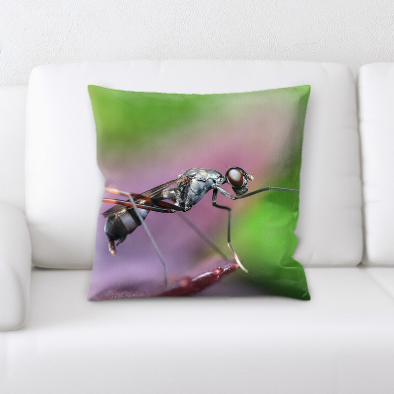 Coussin d’insectes