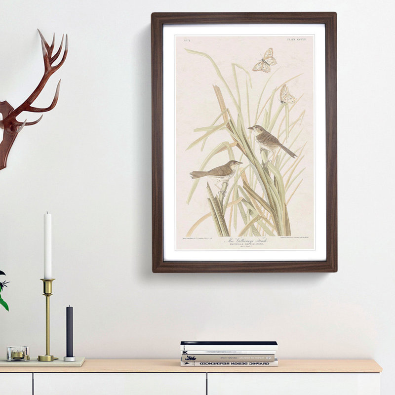 Finches & Butterflies by John Audubon - Framed Print, 36cm H x 27cm W x 2cm D, Walnut Framed