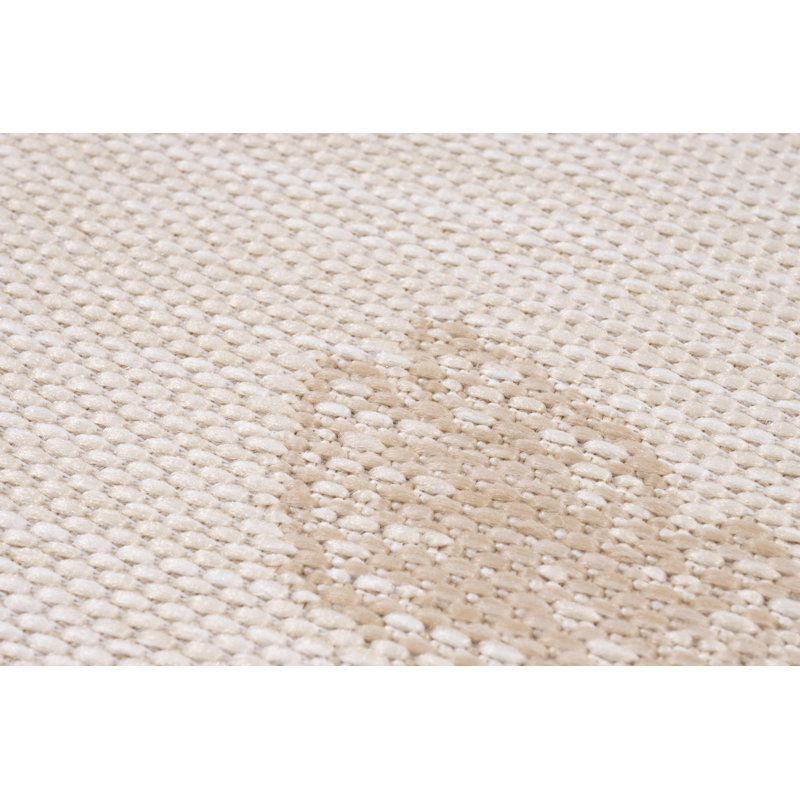 Alvise Area Rug, Rectangle 19'2" x 13'4"