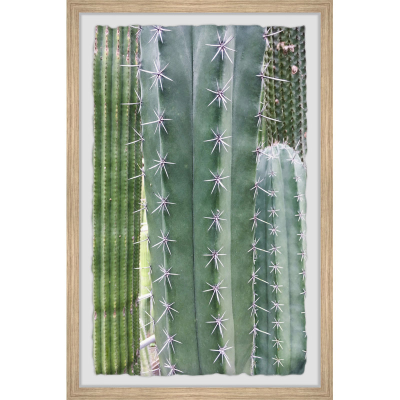 Cactus Prickles - Single Picture Frame Painting, 61 cm H x 41 cm W