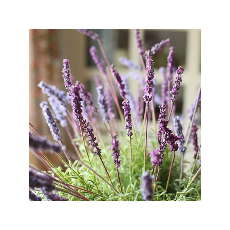 Tige de lavande provence en soie rustique, Mauve, 1 tige
