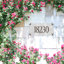 Plaque d'adresse 1 ligne Frjan-296125471-296125469
