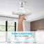 Ventilateur de plafond avec lumières DEL Shonda