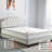 Anstice Memory Foam 1000 Spring Mattress-60967772