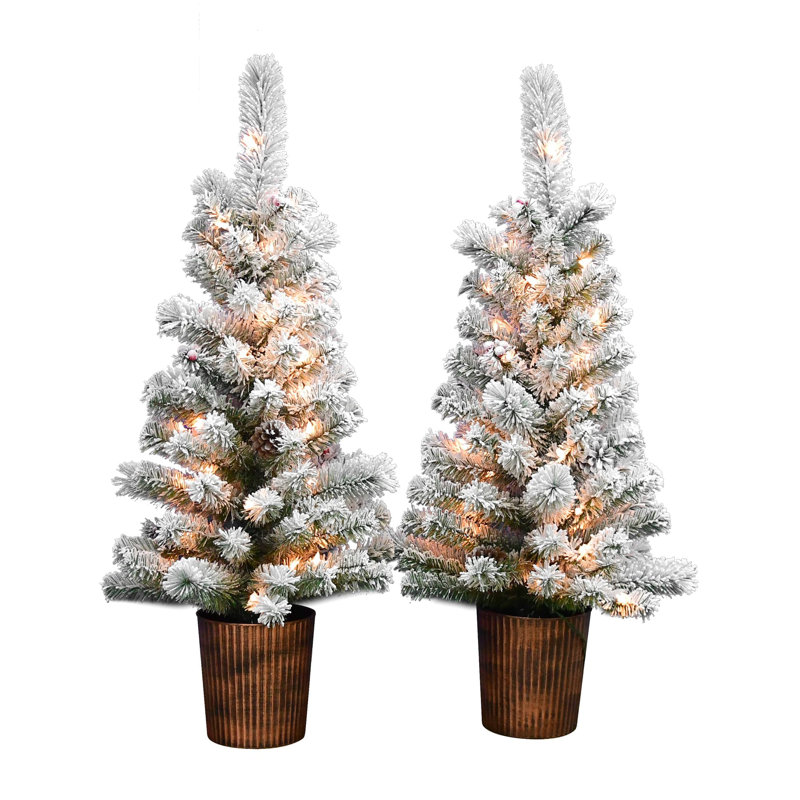 Arbre en pot Arakiel S / 2- 3,5 pi