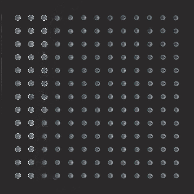 Rain Fixed Shower Head 2.5 GPM GPM, Matte Black