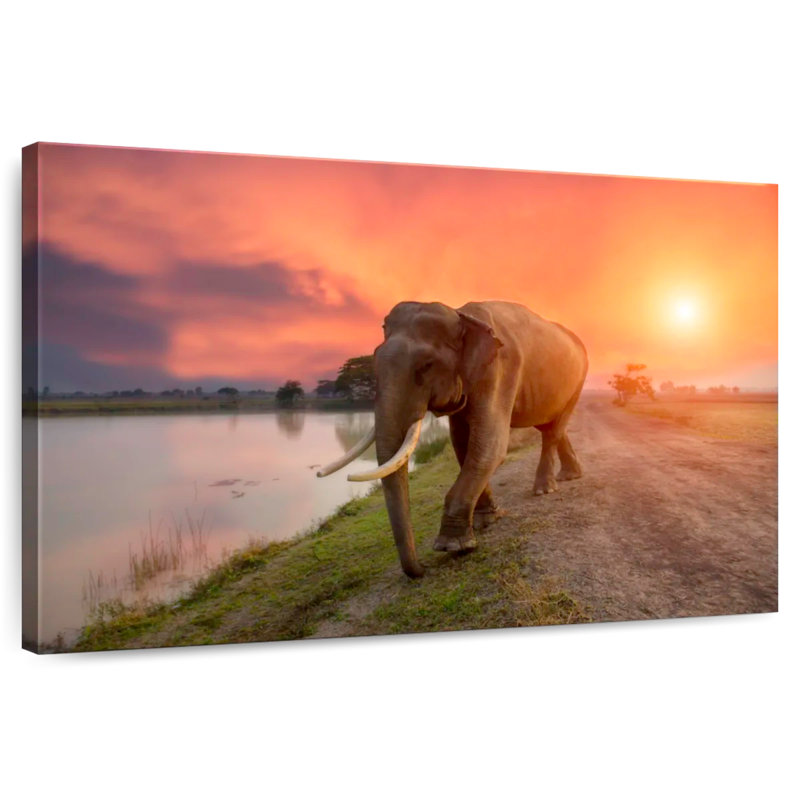 Surin Thailand Elephant, 20" H x 30" W