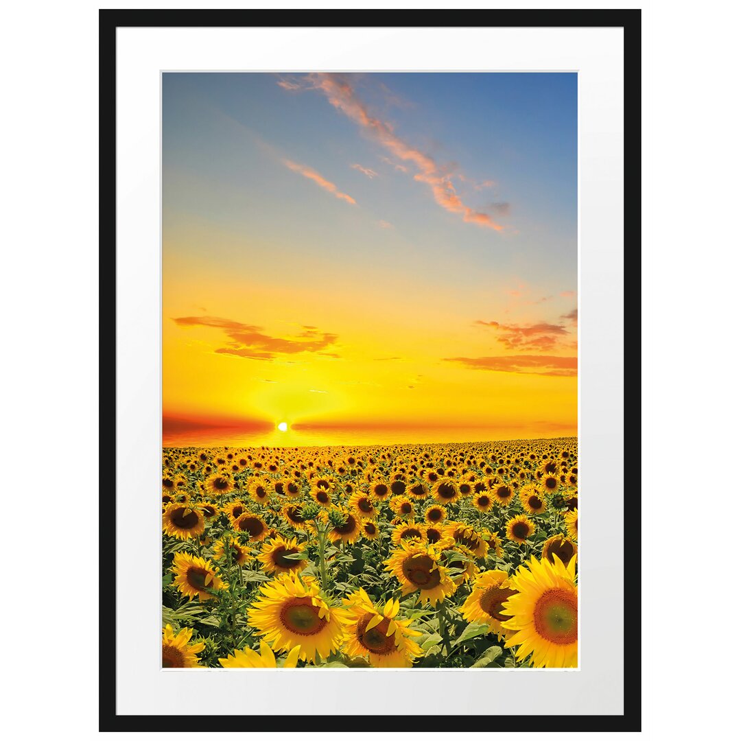 Gerahmtes Poster Sonnenuntergang Sonnenblumen