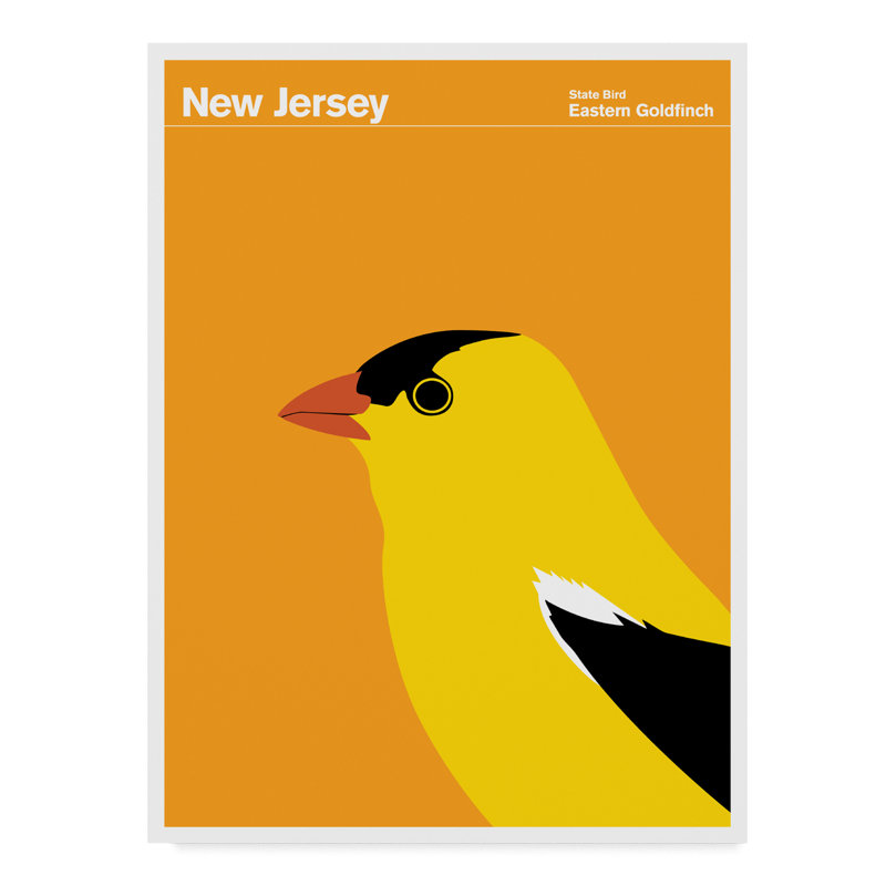«New Jersey Bird Eastern Goldfinch» par Print Collection - impression sur toile tendue, H 19 po x l 14 po x P 2 po