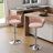 Ginko Modern Swivel Bar Stool with Backrest, Adjustable Height Kitchen Island Stool with Upholstered Seat and Footrest, （Set of 2）-1746985586
