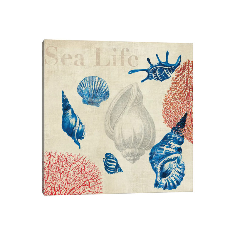 Sea Life Study by Aimee Wilson - Wrapped Canvas Gallery-Wrapped Canvas Giclée, 30.48 cm H x 30.48 cm W