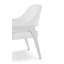 Delray Dining Arm Chair-1560894370