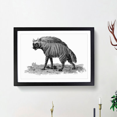 Striped Hyena in Black & White by George Shaw - Picture Frame Art Print
