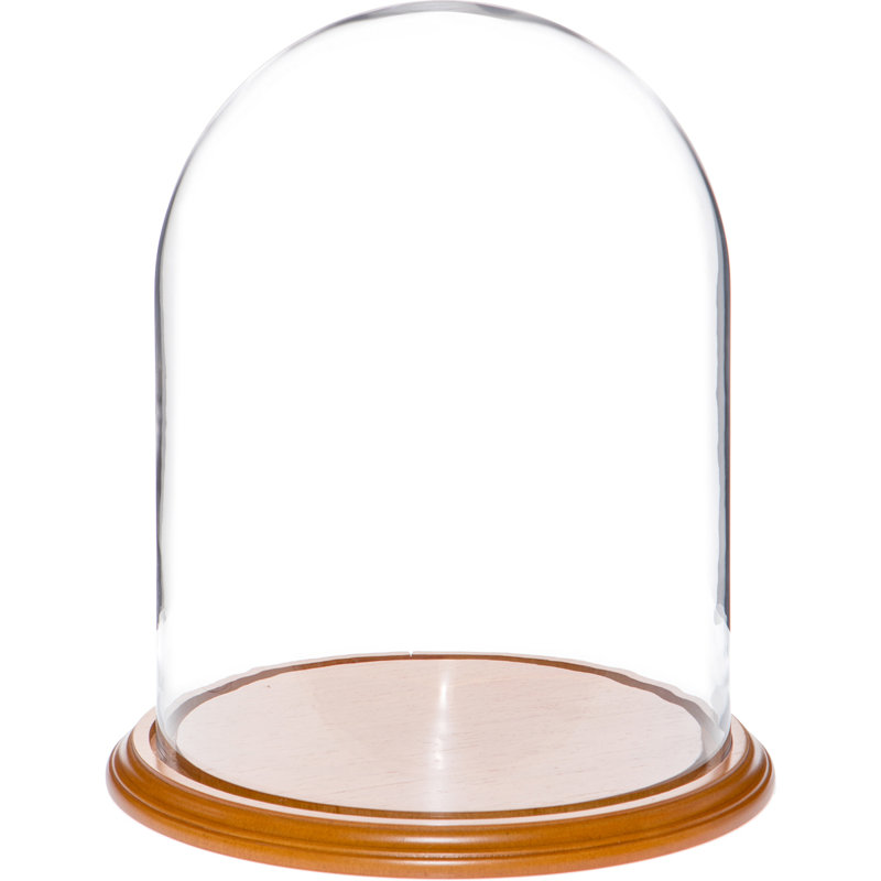 Vucciria Glass Display Dome Cloche, Oak Veneer Base, 20" H x 9.75" W x 9.75" D