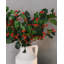 Artificial Holly with Berries 25"