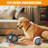 Mini Portable 500w Ptc Ceramic Space Heater For Indoor Use With Fast Heating And Safety Protection