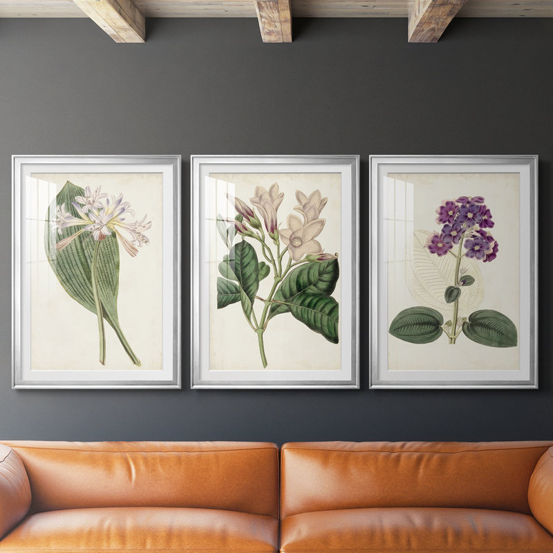 Antique Botanical Collection IV - reproduction encadrée sur mesure de qualité supérieure - 3 pièces, H 27 po x l 39 po
