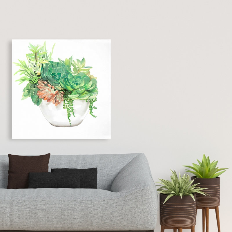 Succulent Assortment in a Pot - Cactus Canvas for Home Decor