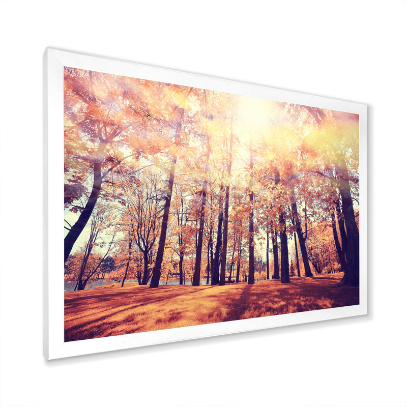 Coucher de soleil mystique dans la forêt d'automne orange - On, Toile blanche avec cadre photo, H 24 po x l 36 po x P 1 po
