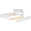 Lit simple avec lit gigogne et bibliothèque intégrée, lit de rangement compact pour les petites chambres, blanc-117789627-117789626
