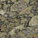 Segin Area Rug with Non-Slip Backing