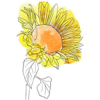 Tournesol Adesina