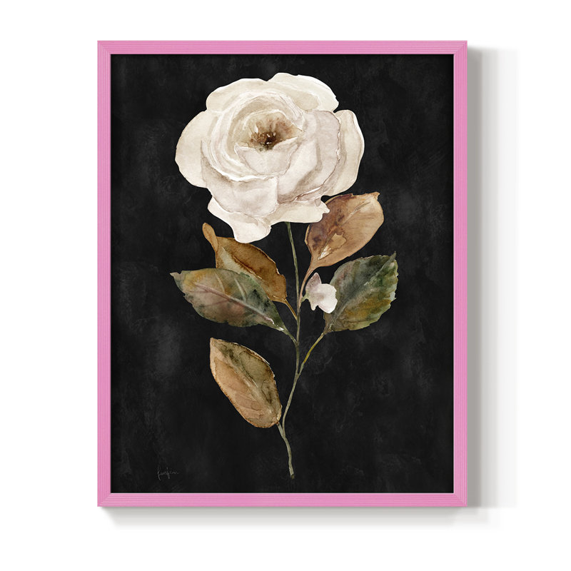 «Botanical on Black Wash II», reproduction encadrée - bois massif, Rose, H 11 po x l 9 po