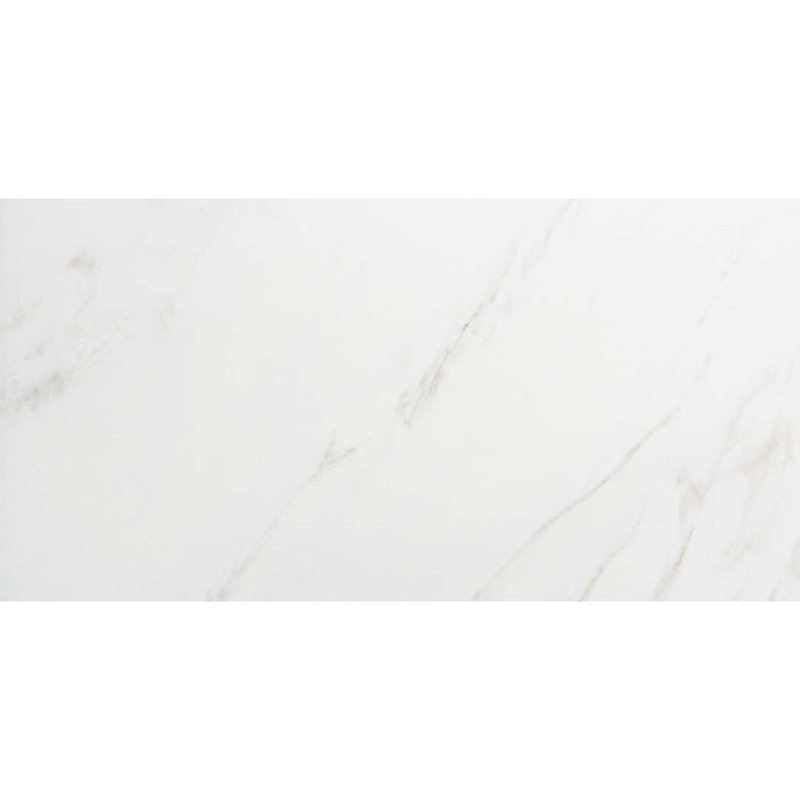 Huntington 24" x 48" Polished Porcelain Floor and Wall Tile