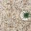 Tapis taupe crème d'inspiration rétro bani Rugs EVE140A Evelyn-916379217