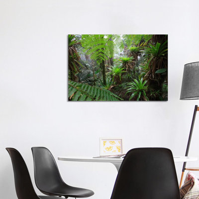 Bromeliad And Tree Fern At 1600 Meters Altitude In Tropical Rainforest, Sierra Nevada De Santa Marta National Park, Colombia V by Cyril Ruoso - Wrapped Canvas Print