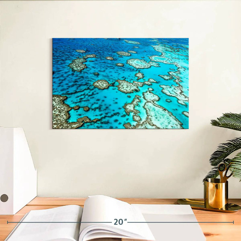 Grande barrière de corail Nicci