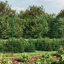 Awanda Metal Wire/Mesh Fence-1750891690-1750891689-1750891688