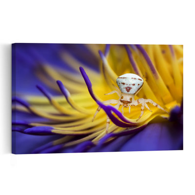 Vibrant Spider On Lotus Colorful Delicate Serene Crab Lily Spider Flower Nature Wall Art Print 1 Piece Wrapped Canvas Wall Art