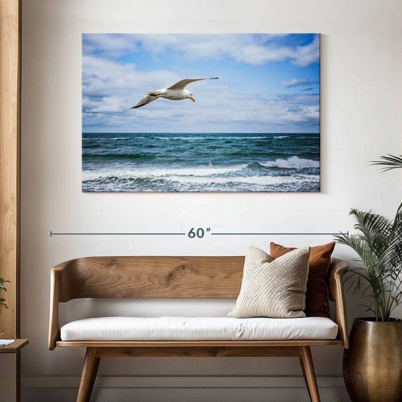 Mouette Brampt au-dessus de la mer